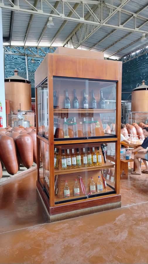 From Ica or Huacachina: Tour to Tacama Vineyard and Artisanal Winery. - Cutur and the old Spanish cellars