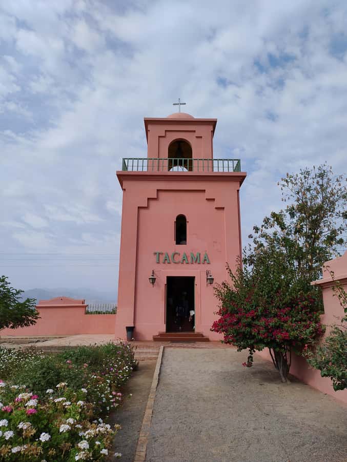 From Ica or Huacachina: Tour to Tacama Vineyard and Artisanal Winery. - Lunch with Ica flavors, at your own expense