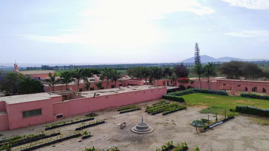 From Ica or Huacachina: Tour to Tacama Vineyard and Artisanal Winery. - Is $25 good value?