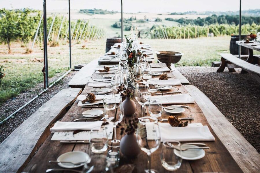 From Krakow: Wine Tasting at Vineyard - Who will enjoy this experience most?
