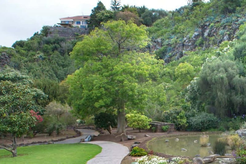From Las Palmas: Half day tour Volcano Bandama & Vineyard - Why this half-day trip works well from Las Palmas