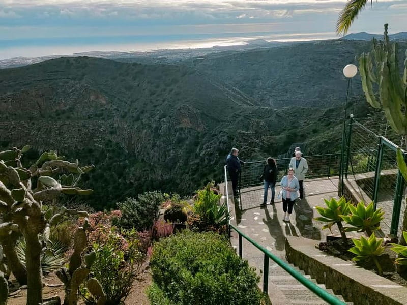From Las Palmas: Half day tour Volcano Bandama & Vineyard - Bandama Volcano and the wide crater view