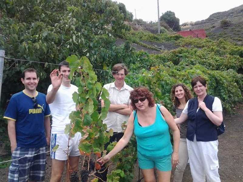 From Las Palmas: Half day tour Volcano Bandama & Vineyard - Should you book the Bandama and vineyard tour?