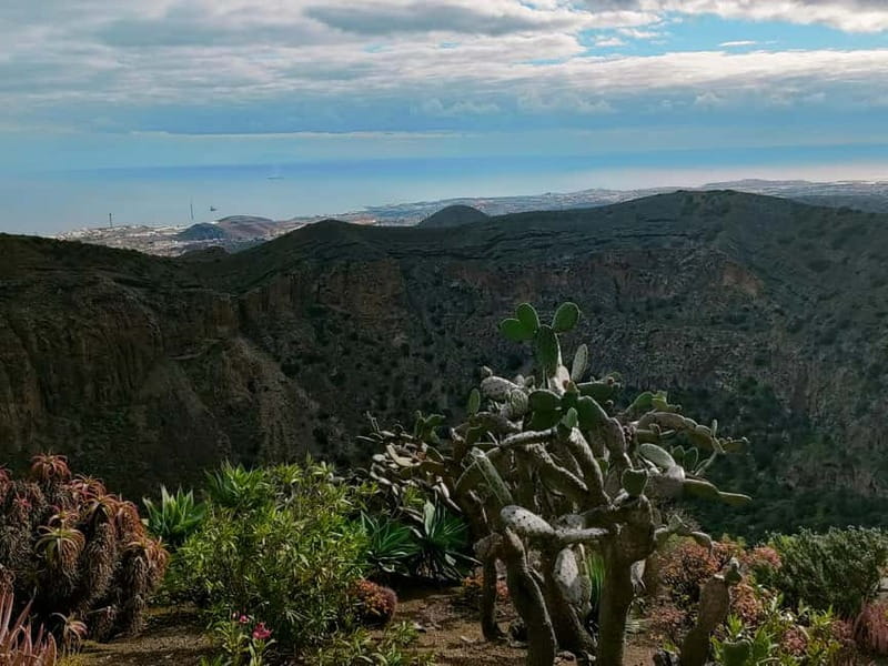 From Las Palmas: Half day tour Volcano Bandama & Vineyard - Tafira’s botanical garden and its Canarian plants