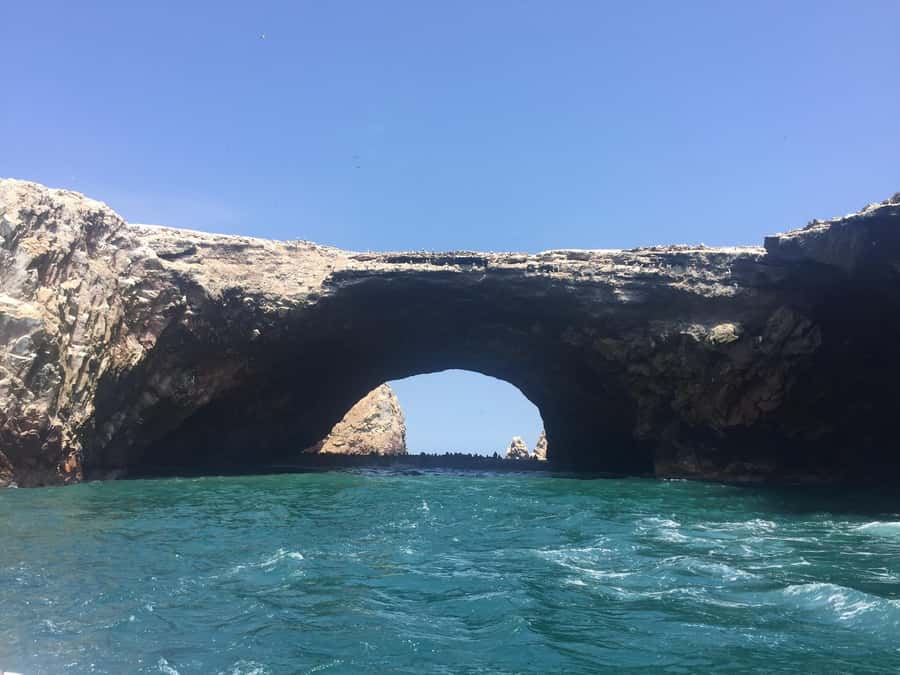 From Lima: Ballestas Islands, Huacachina, and Vineyard Tour - Should you book the Ballestas, Huacachina, and winery tour?