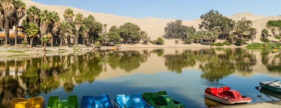 From Lima: Ballestas Islands, Huacachina and Wine Route Trip - Lunch, Ica wine, and pisco tasting