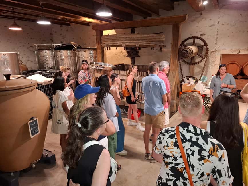 From Lyon: Beaujolais Wine Route Half-Day Tour - The Beaujolais route through Fleurie, Morgon, and Moulin à Vent