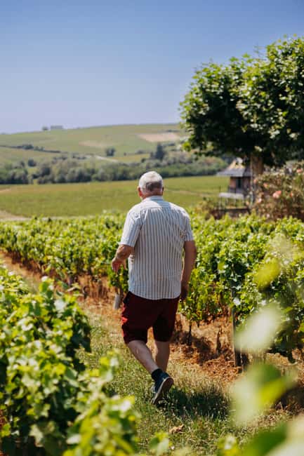 From Lyon: Beaujolais Wine Route Half-Day Tour - Is $116 a fair price?
