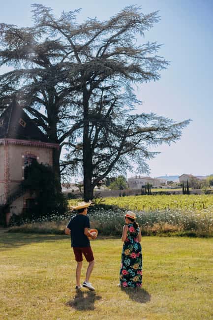 From Lyon: Beaujolais Wine Route Half-Day Tour - Who will enjoy this half-day outing?