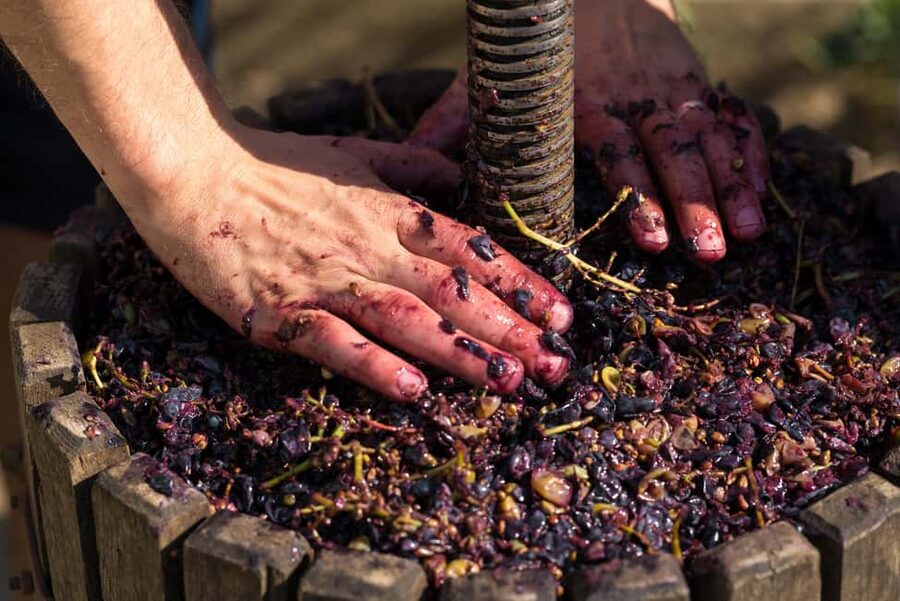 From Madrid to Ribera del Duero: Hidden Vineyards and Towns - Key points to know before booking
