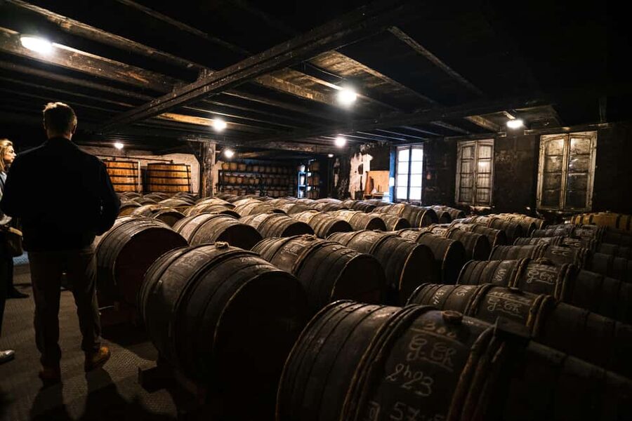 From Madrid to Ribera del Duero: Hidden Vineyards and Towns - The optional winery plan: modern methods and three wines
