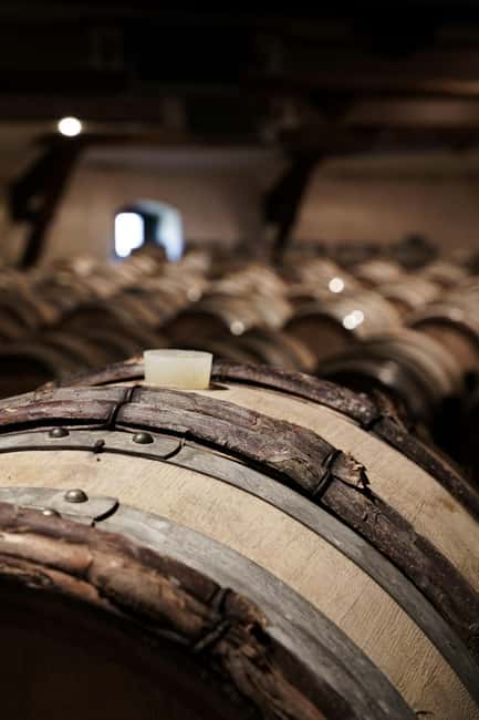 From Madrid to Ribera del Duero: Hidden Vineyards and Towns - Peñafiel, the castle, and time away from the tasting room