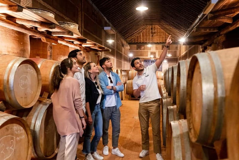 From Madrid: Toledo Guided Tour & Winery Visit with Tasting - Making the most of 105 minutes in Toledo