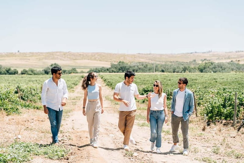 From Madrid: Toledo Guided Tour & Winery Visit with Tasting - Walking the vines before returning to Madrid