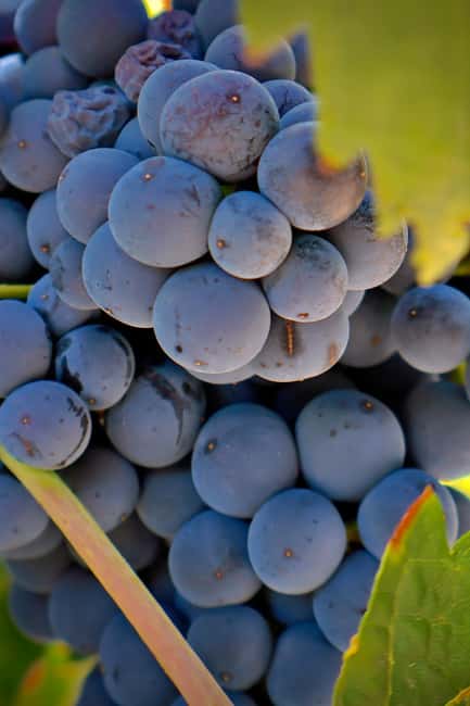 From Madrid: Visit Cuenca and a vineyard in the Spanish Tuscany - Why Cuenca makes a strong day trip from Madrid