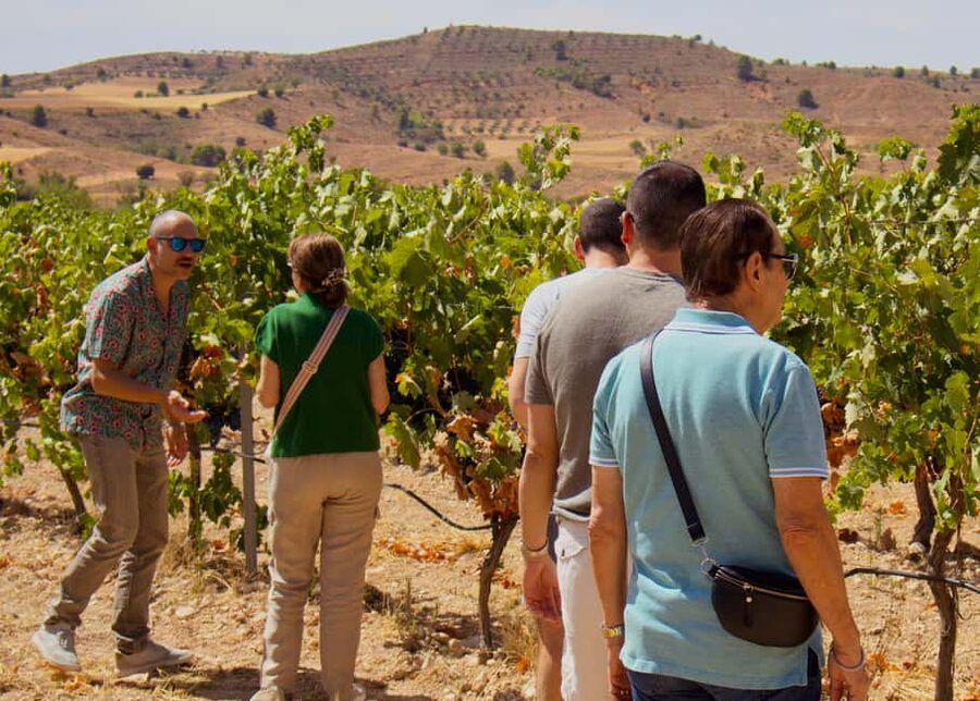 From Madrid: Visit Cuenca and a vineyard in the Spanish Tuscany - Who should book this Cuenca and vineyard trip?