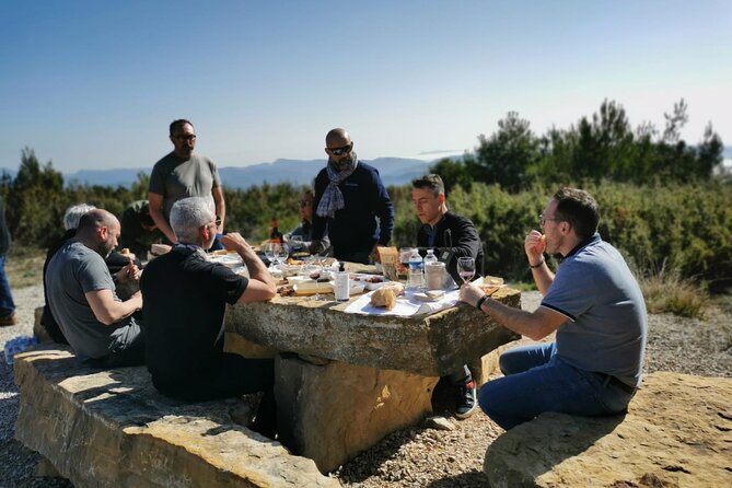 From Marseille : Sidecar Wine Tour to Cassis and Bandol - Comfort, safety, and the sidecar question