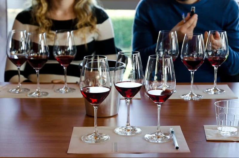 From Milan: Langhe Wine Region Day Trip with Barolo Tasting - Grinzane Cavour Castle and the vineyard views
