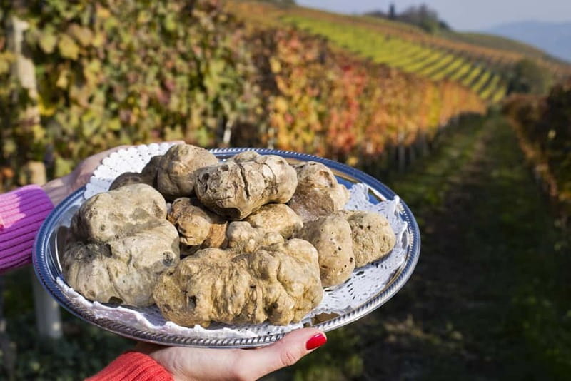 From Milan: Langhe Wine Region Day Trip with Barolo Tasting - How the value works