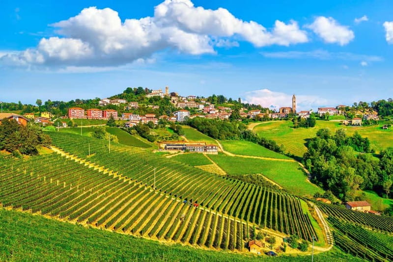 From Milan: Langhe Wine Region Day Trip with Barolo Tasting - Barolo from April through October