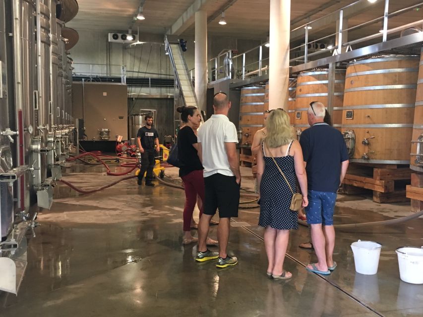 From Montpellier: Half-Day Vineyard & Pic Saint-Loup Tour - Key points at a glance