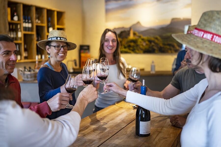 From Montpellier: Half-Day Vineyard & Pic Saint-Loup Tour - Practical tips for a better afternoon