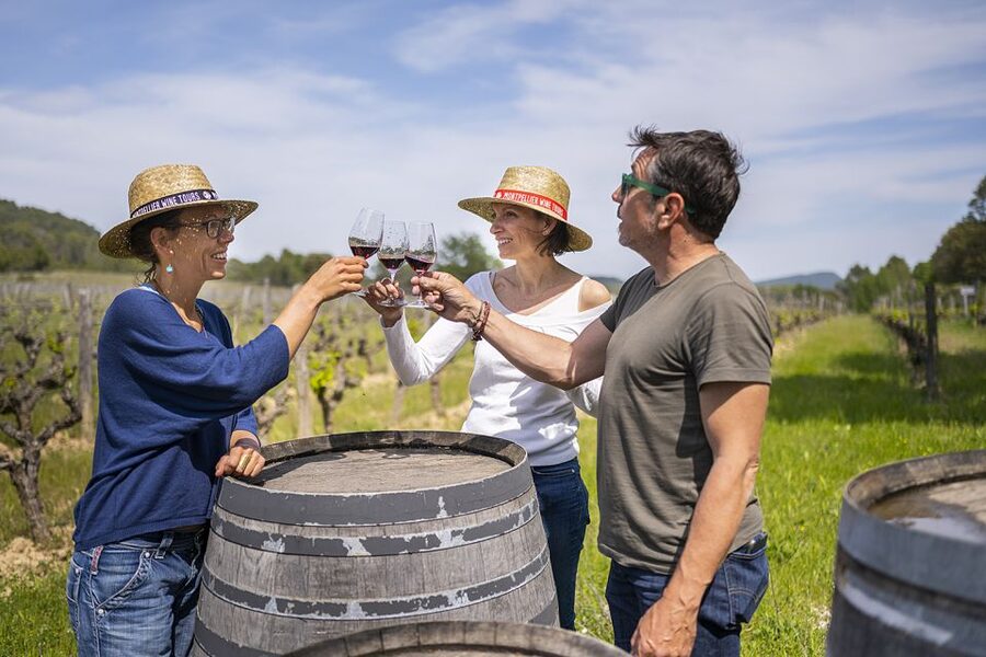 From Montpellier: Half-Day Vineyard & Pic Saint-Loup Tour - First estate: an introduction to Languedoc wine