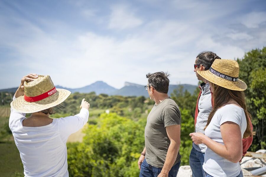 From Montpellier: Half-Day Vineyard & Pic Saint-Loup Tour - The tasting workshop: learning what you are drinking