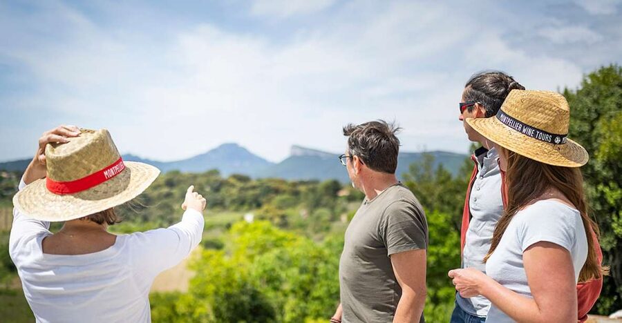 From Montpellier: Half-Day Vineyard & Pic Saint-Loup Tour - Returning to Montpellier after the tastings
