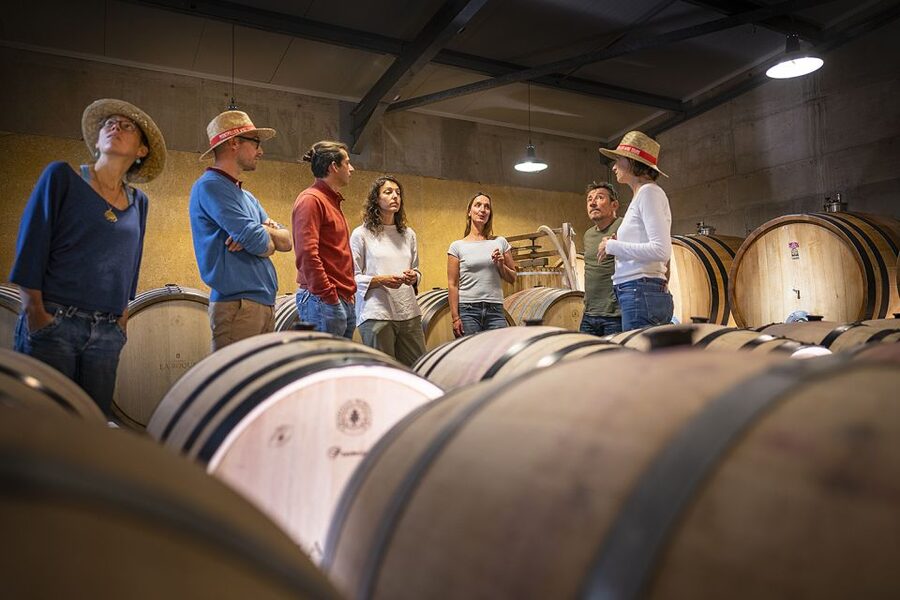 From Montpellier: Half-Day Vineyard & Pic Saint-Loup Tour - What $93 buys you