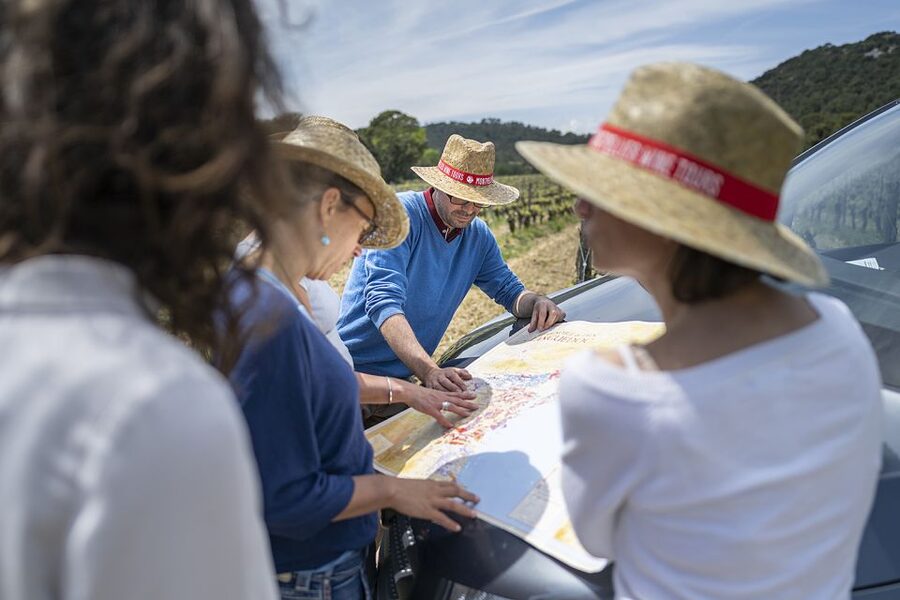 From Montpellier: Half-Day Vineyard & Pic Saint-Loup Tour - Who will enjoy this tour most