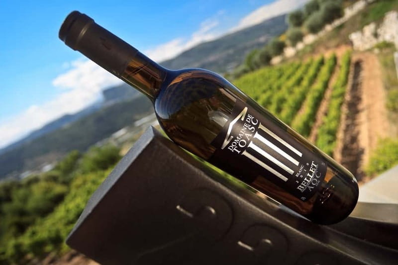 From Nice: Half-Day Wine Tour in the Bellet Wine Region - What to wear and bring
