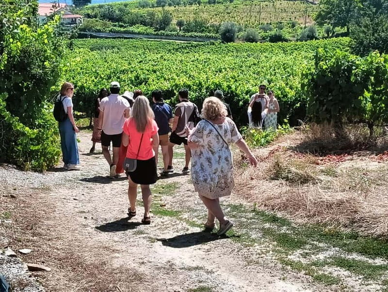 From Porto: 2 Wine Regions, Farm Lunch, and Boat Ride - What makes this Douro day trip worth your time
