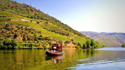 2 Wine Regions, Farm Lunch, and Boat Ride