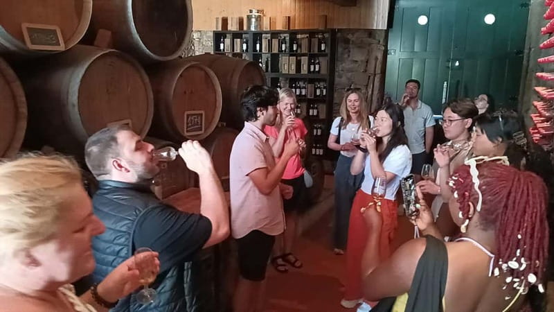From Porto: 2 Wine Regions, Farm Lunch, and Boat Ride - First winery: lunch, DOC wine, and local production