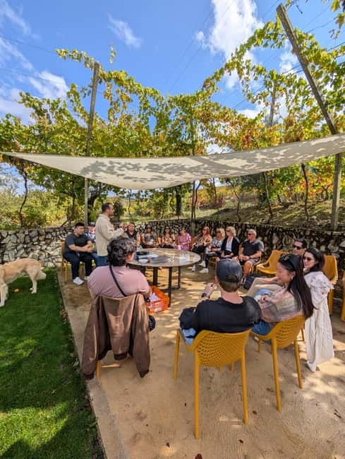 From Porto: 2 Wine Regions, Farm-to-Table Lunch & Boat - Who should book this experience?