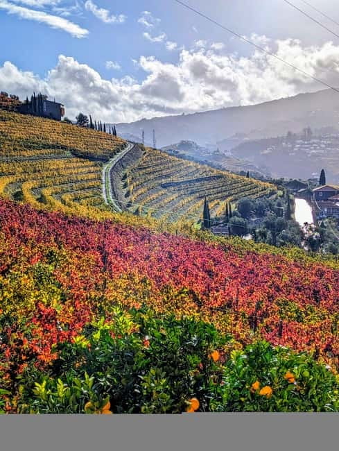From Porto: 2 Wine Regions, Farm-to-Table Lunch & Boat - The road into the Douro Valley
