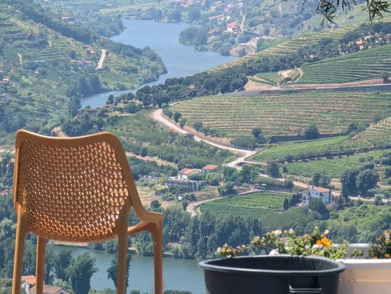 From Porto: 2 Wine Regions, Farm-to-Table Lunch & Boat - Pinhão and the one-hour Douro cruise