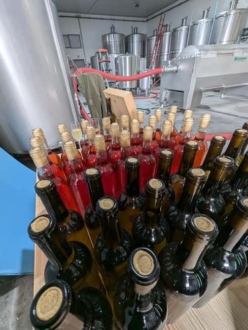 From Porto: 2 Wine Regions, Farm-to-Table Lunch & Boat - Is $94 good value?