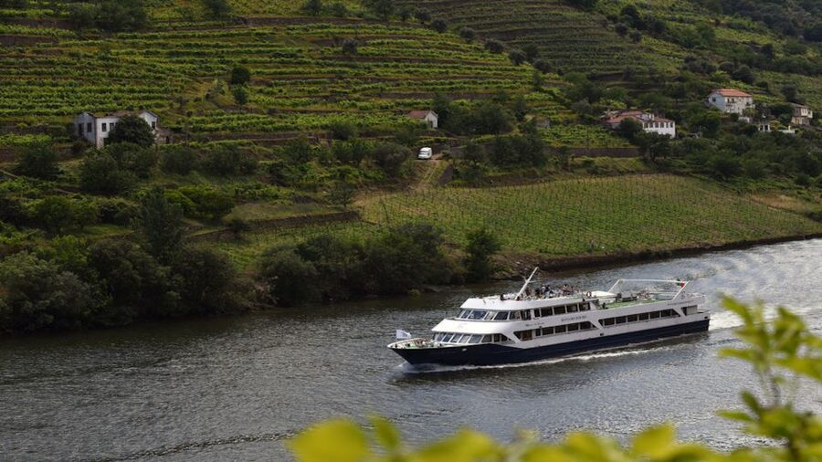 From Porto: Douro River Cruise, Winery Visit & Lunch - Lunch on board as the valley changes
