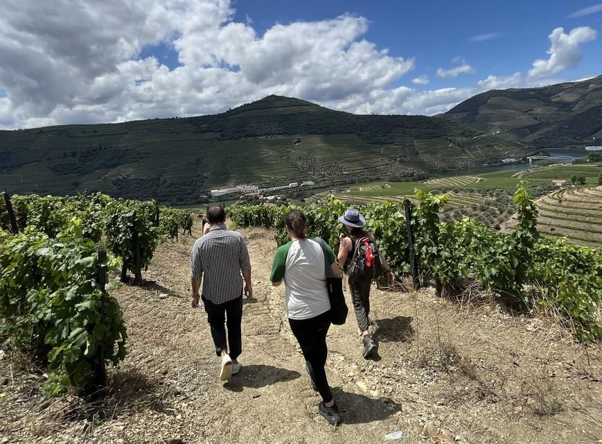 From Porto : Douro Valley sightseeing with 1 Winery Visit - Should You Book This Douro Valley Day Trip?