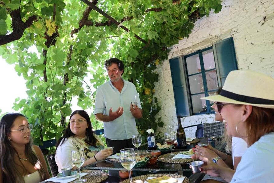 From Porto : Douro Valley sightseeing with 1 Winery Visit - The Ride From Porto to the Vineyards