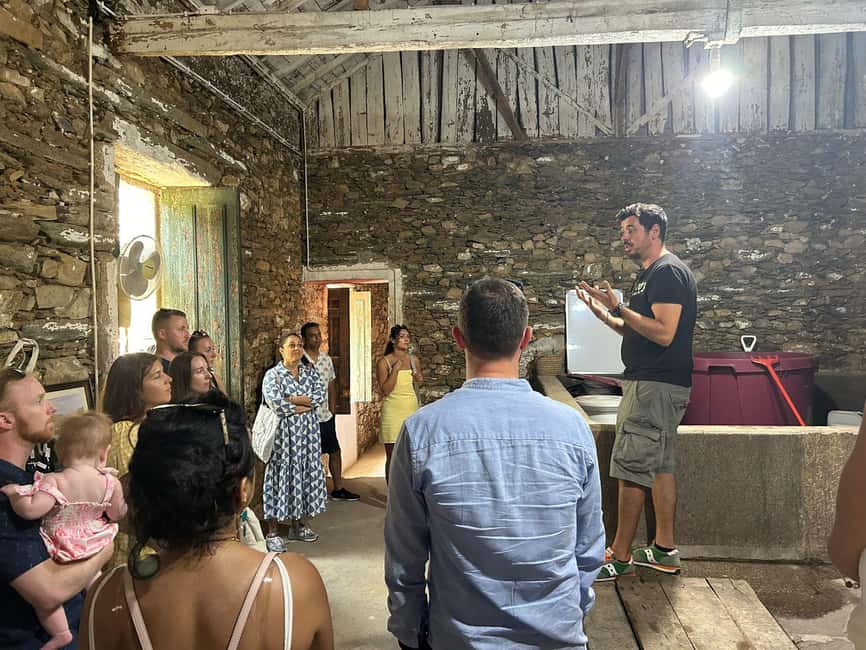 From Porto : Douro Valley sightseeing with 1 Winery Visit - Who Will Enjoy This Experience Most