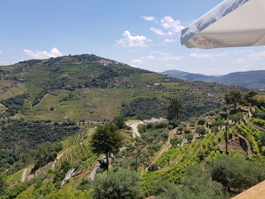 From Porto: Premium Douro Valley 4 Vineyards Tour with Lunch - Booking advice for a smoother day
