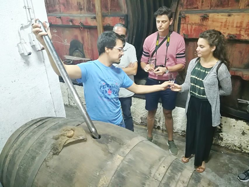 From Porto: Premium Douro Valley 4 Vineyards Tour with Lunch - National Road 222 and the winery lunch
