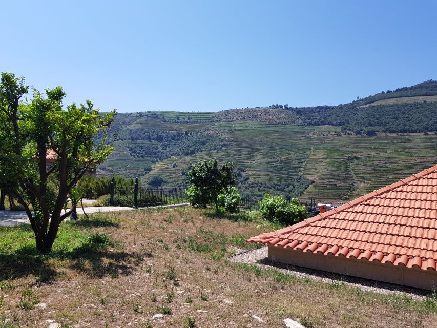 From Porto: Premium Douro Valley 4 Vineyards Tour with Lunch - The final estate and the last views