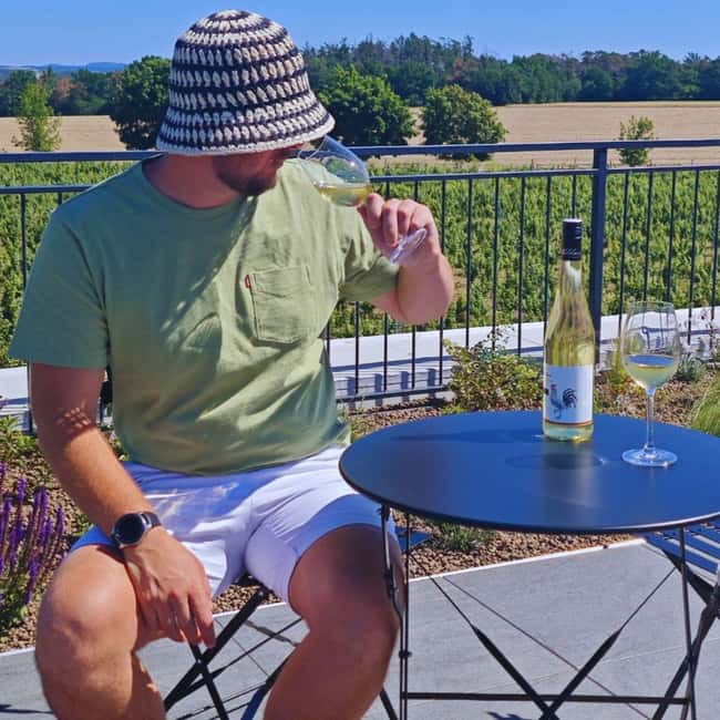 From Prague to the Vineyards: Wine & Gastronomy Tour - Four hours in Mělník, where wine meets Czech food