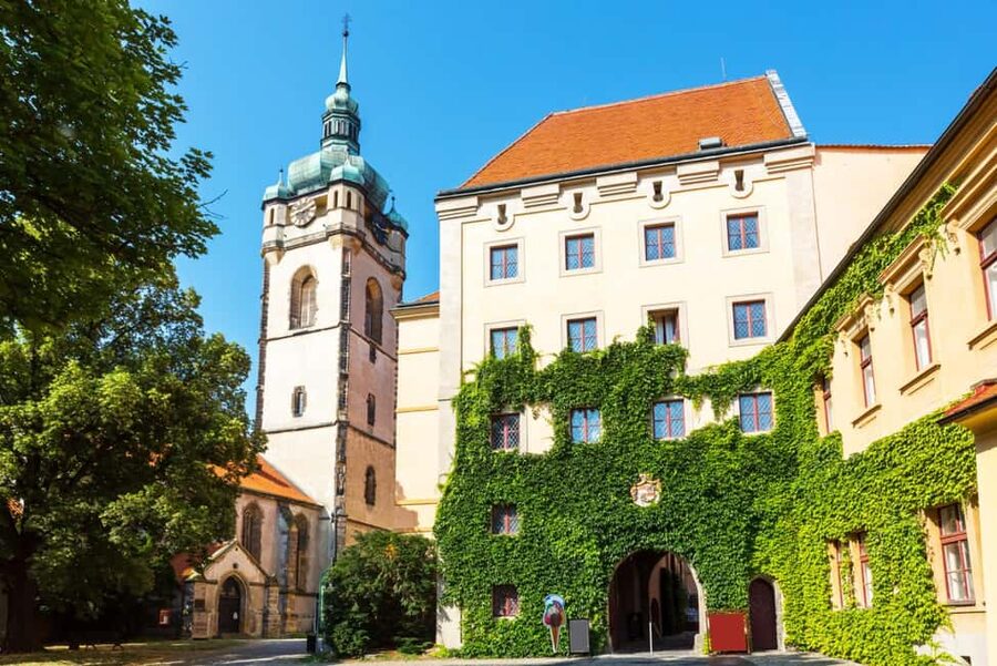 From Prague to the Vineyards: Wine & Gastronomy Tour - Game, smoked fish, and the value of local food