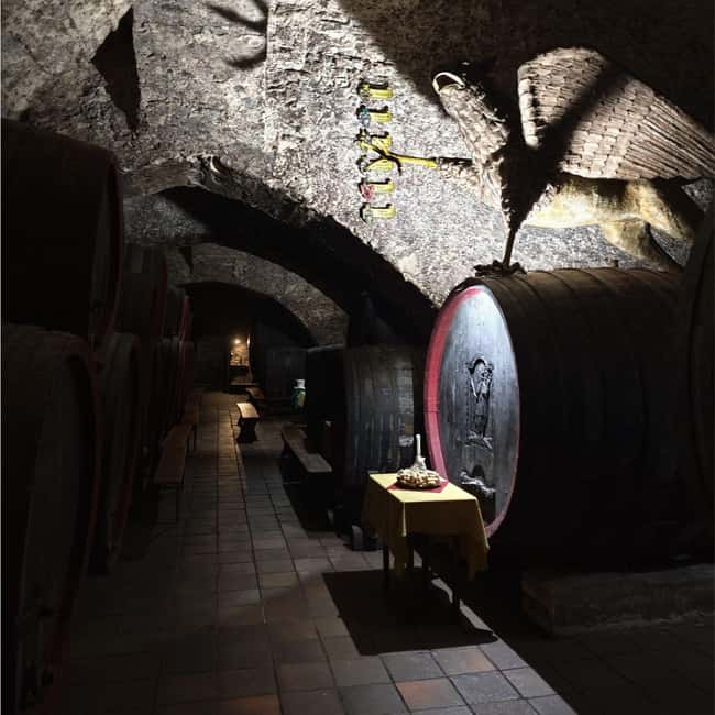 From Prague to the Vineyards: Wine & Gastronomy Tour - Should you book this Bohemian wine and food day?