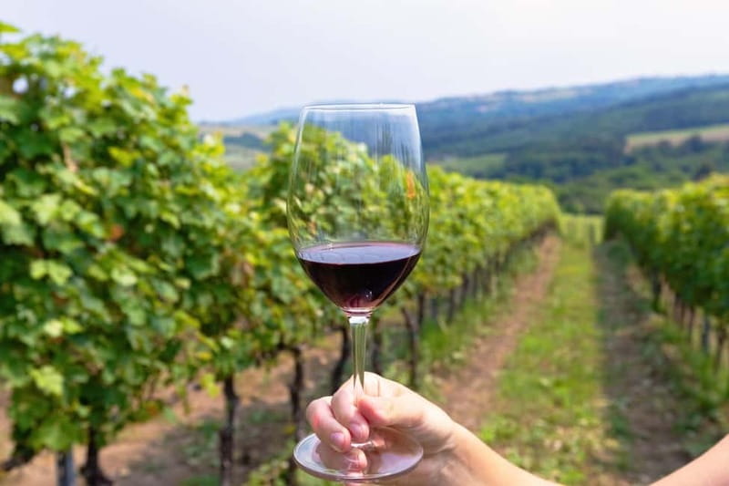 From Roma: Montepulciano and Montalcino, on the Wine Routes - The cellar tasting and a proper Tuscan lunch